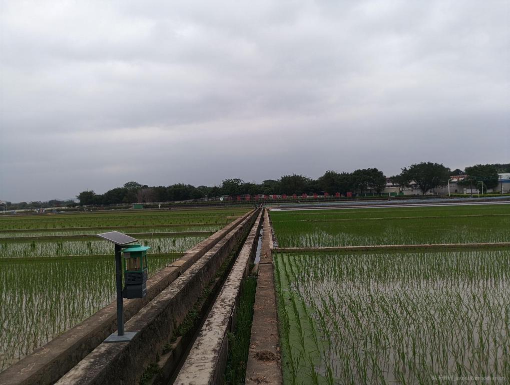 广州市白云区钟落谭甘薯圃，监控安装，光纤熔接